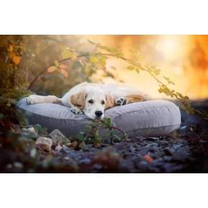 LABONI LUNA OXFORD LOUNGE-KISSEN FÜR HUNDE – 90x65x20 Cm – Stone 15