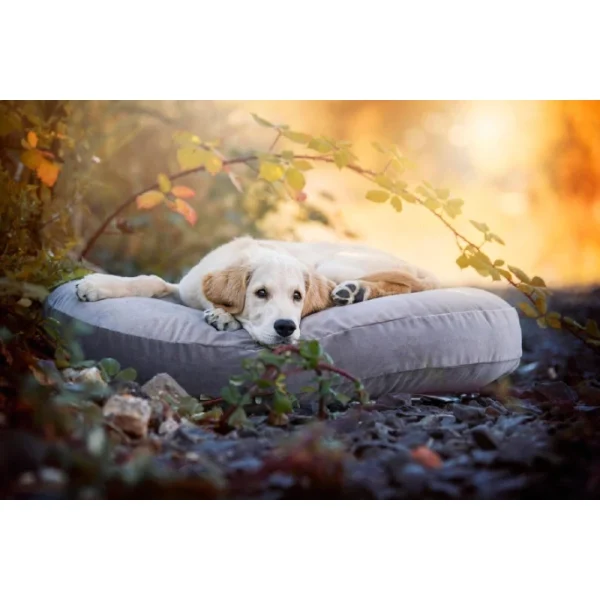 LABONI LUNA OXFORD LOUNGE-KISSEN FÜR HUNDE – 90x65x20 Cm – Stone 5