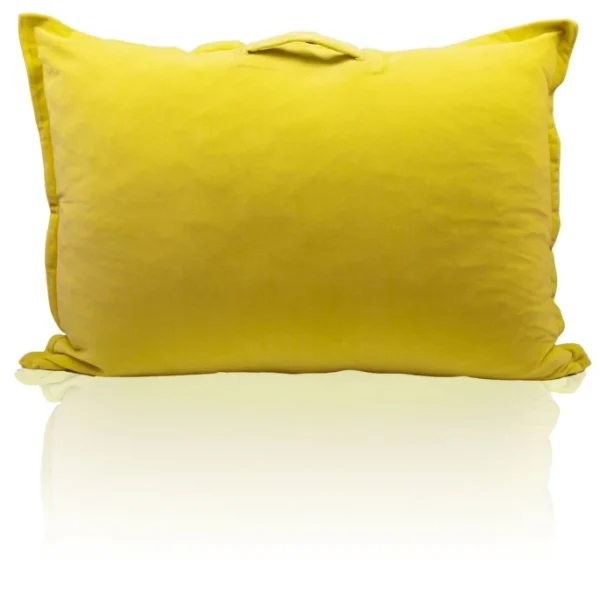 Farbenfreunde Nicky Interieur Take Away Kissen Mit Füllung – 100x70x20 Cm – Curry 1